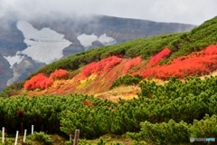 日本で最も早い紅葉　№16　北の国から