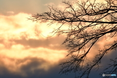 待ち疲れた夕景　北の国から