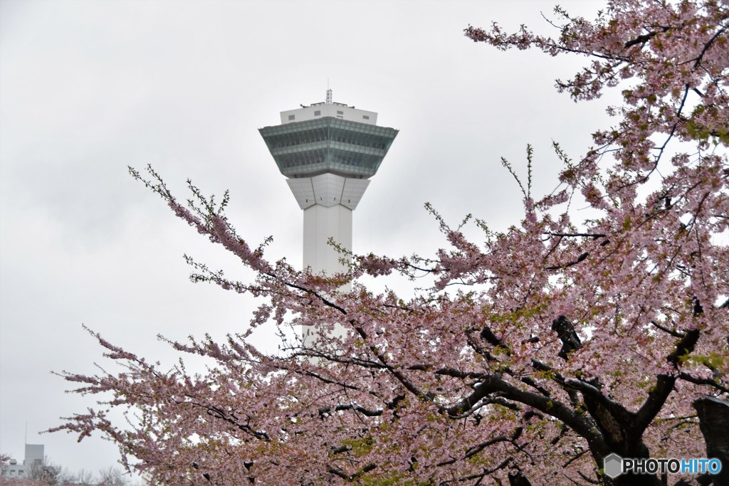 旅先にて　函館編　№2　北の国から