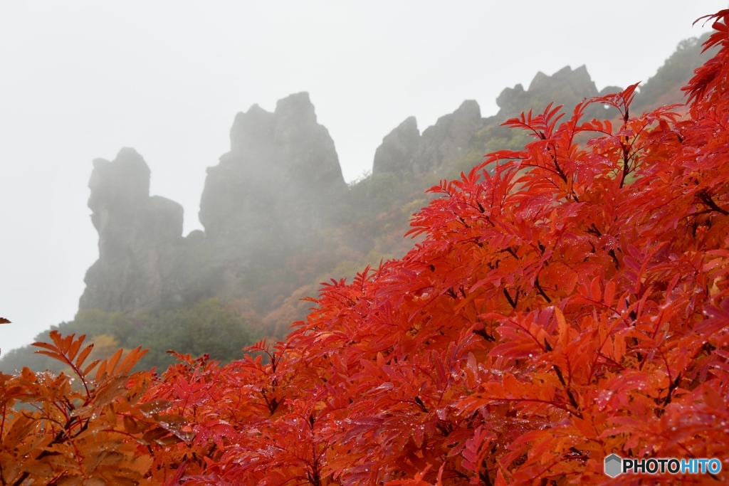 日本で最も早い紅葉　№7　北の国から