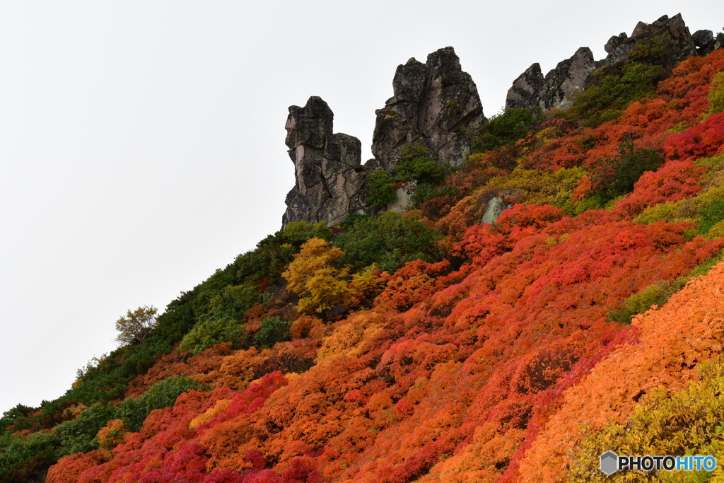 日本で最も早い紅葉　№5　北の国から