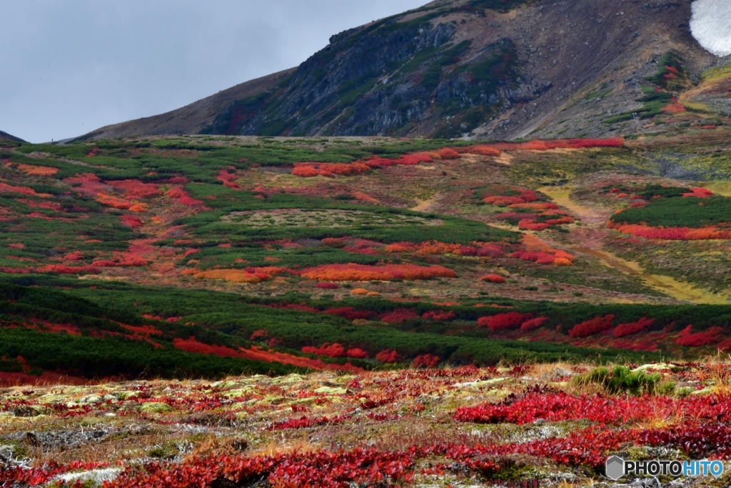 日本で最も早い紅葉　№14　北の国から