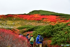 日本で最も早い紅葉　№20　北の国から