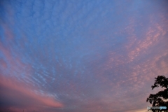 ひつじ雲？　北の国から