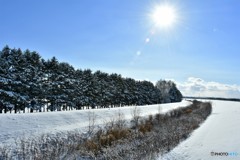 一夜にして　№3　北の国から