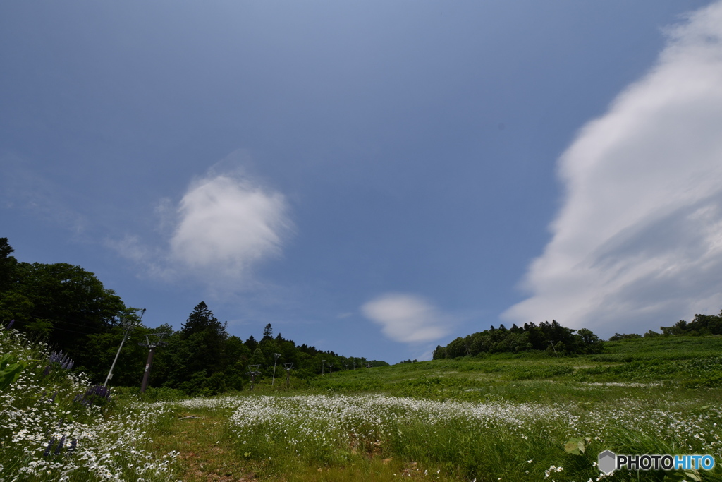 九度山登山　№2　北の国から