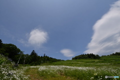 九度山登山　№2　北の国から