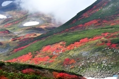 日本で最も早い紅葉　№11　北の国から