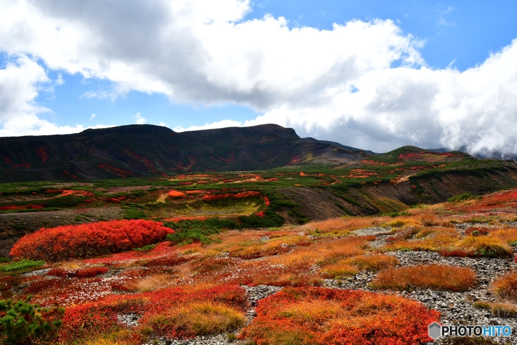 日本で最も早い紅葉　№18　北の国から