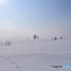 美瑛時間　№16　北の国から