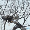 帰還　№2　北の国から