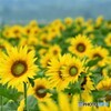 朝活　№1　北の国から