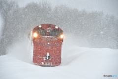 降雪の中を行く　№3　北の国から