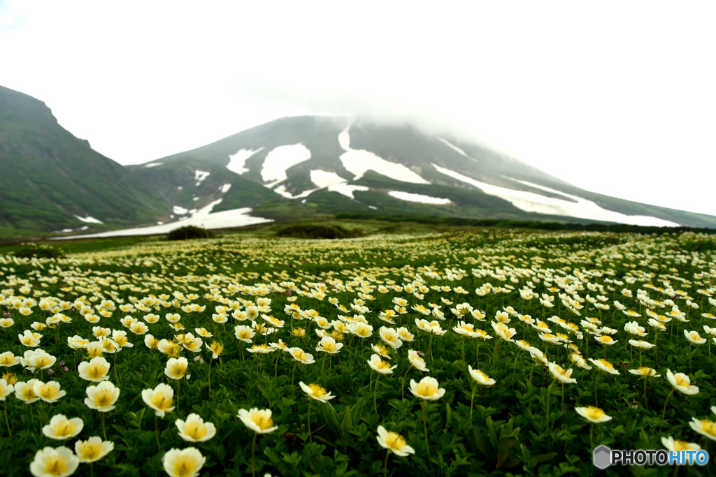 北海道旭岳登山　№8　北の国から