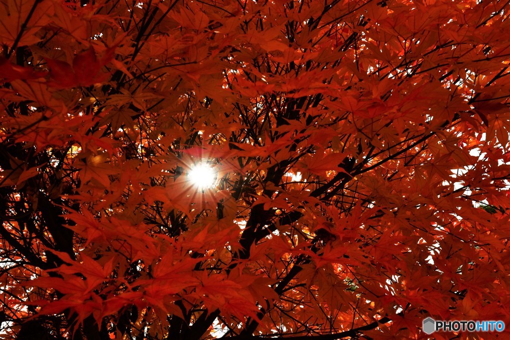 紅をまとう　№4　北の国から