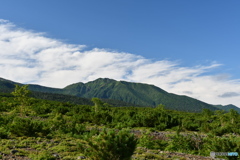 十勝岳連山を眺めながら　№3　北の国から