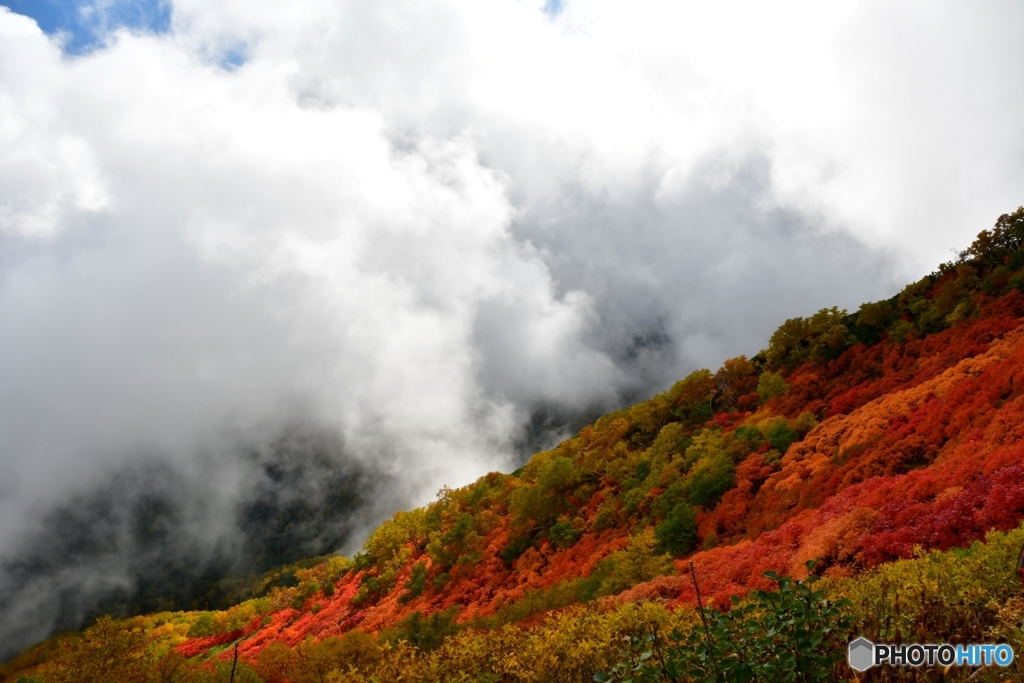 日本で最も早い紅葉　№6　北の国から