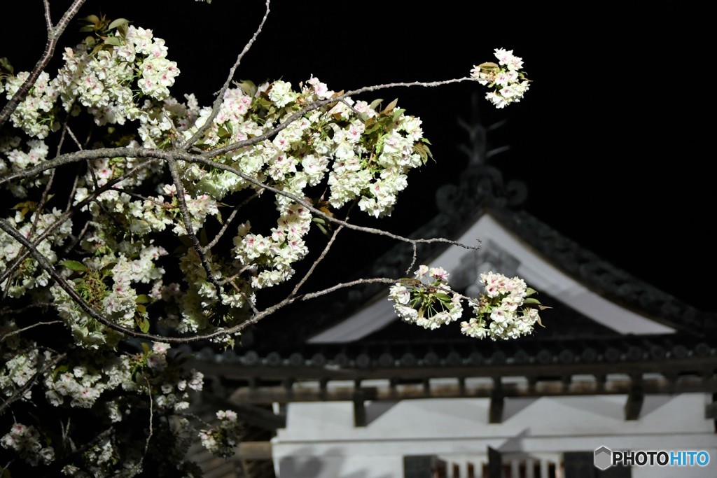 旅先にて　弘前編　No.12　北の国から