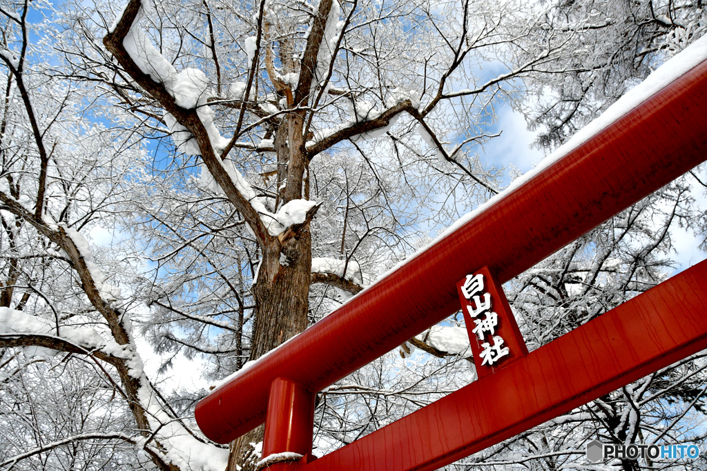 地味に立っています　№2　北の国から
