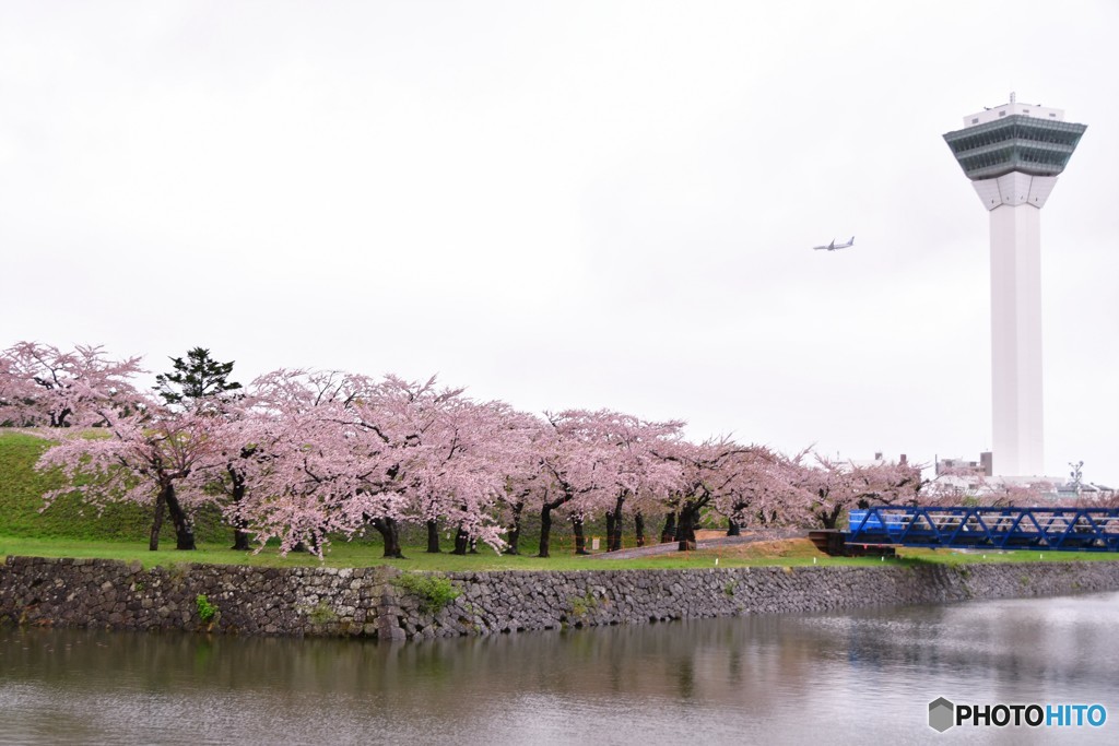 旅先にて　函館編　№3　北の国から