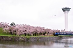 旅先にて　函館編　№3　北の国から