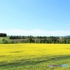 気分爽快C地点　№1　北の国から