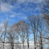 仰ぎ見る　№2　北の国から