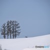 今は静かに？　№2　北の国から