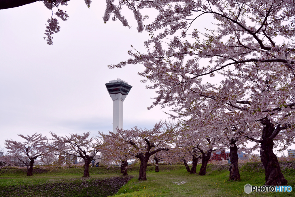 旅先にて　函館編　№7　北の国から