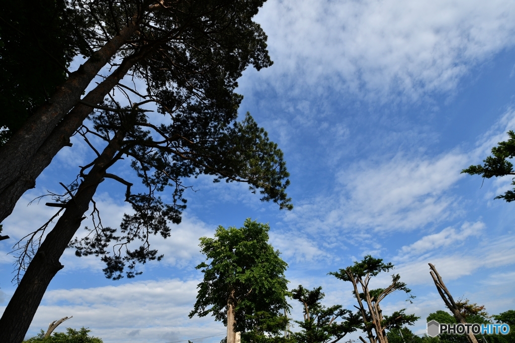 地元の空(澄んだ空)　№7　北の国から