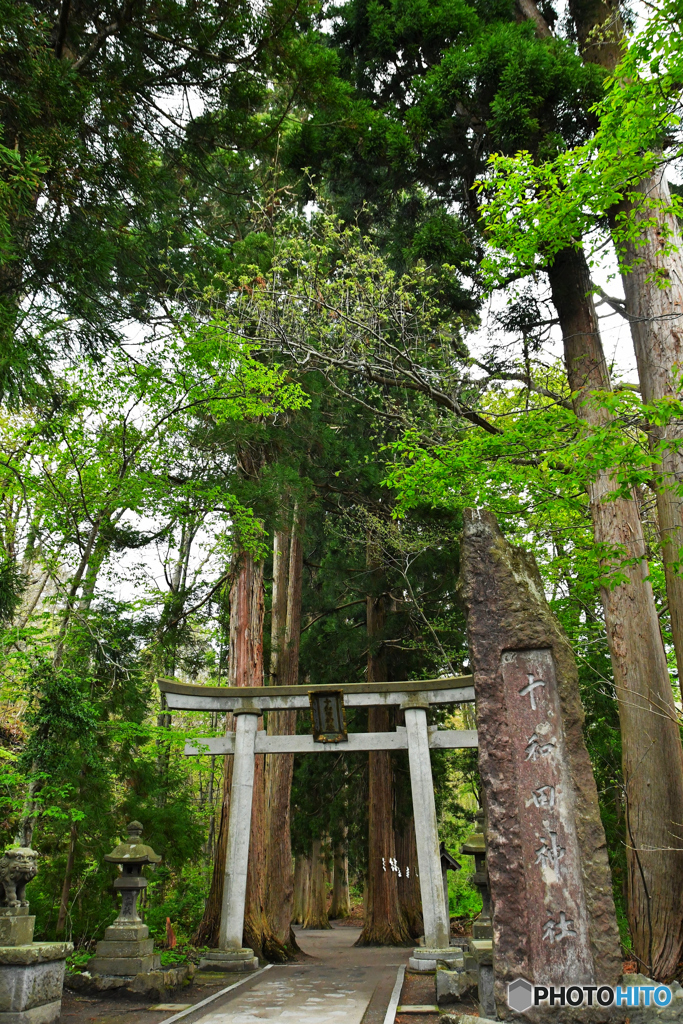 旅先にて　十和田編　№7　北の国から