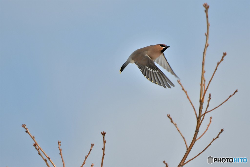 冬の癒し♪　№10　北の国から