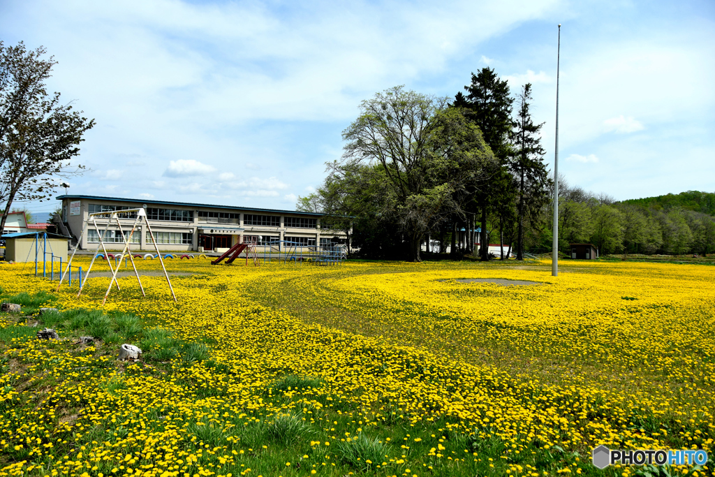 廃校後の賑わい　№2　北の国から