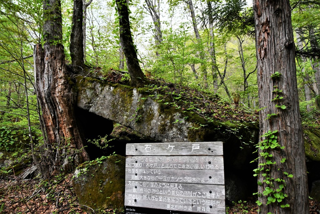 旅先にて　十和田編　№4　北の国から