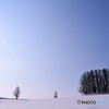 美瑛時間　№17　北の国から