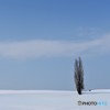 ポツンと　№1　北の国から