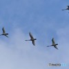 帰りの時を迎える　№1　北の国から