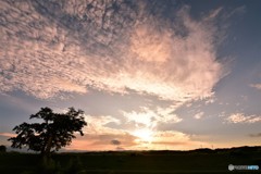 また明日　№2　北の国から