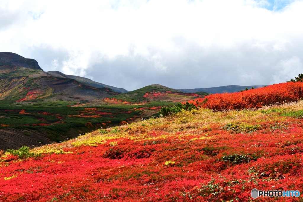 日本で最も早い紅葉　№19　北の国から