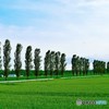 岩見沢にて　№1　北の国から