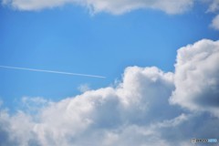 目指すは？　№1　北の国から
