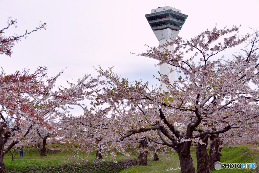 旅先にて　函館編　№8　北の国から