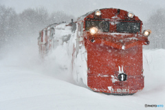 降雪の中を行く　№5　北の国から