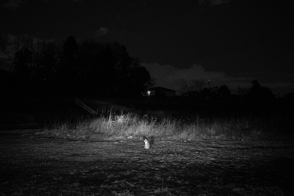 DSC00218
