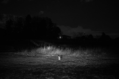 DSC00218
