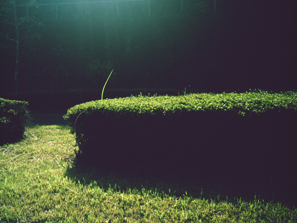 PICT0078