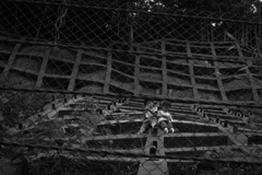 SDIM0195