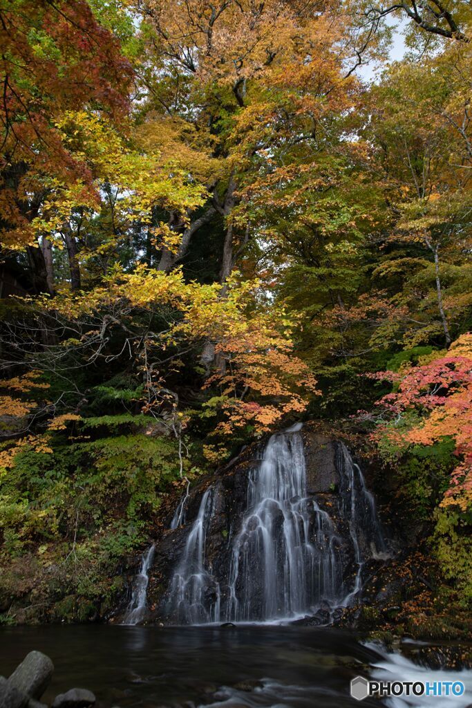 2021 中野もみじ山３