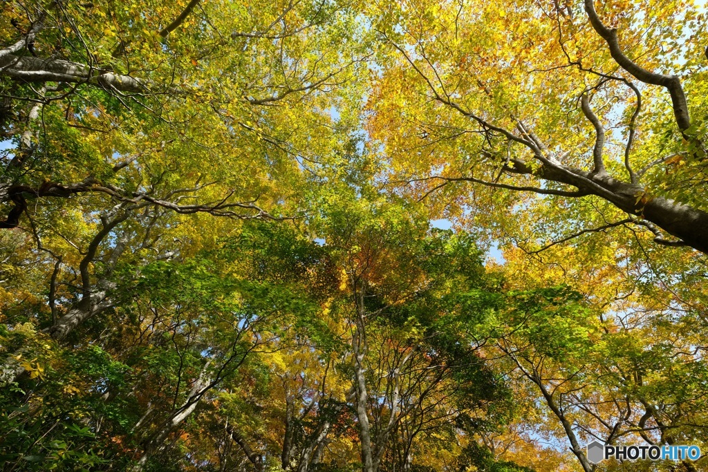 八幡平にて014