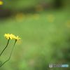 晴れた日にⅢ